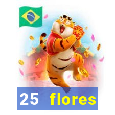 25 flores silvestres desbravadores